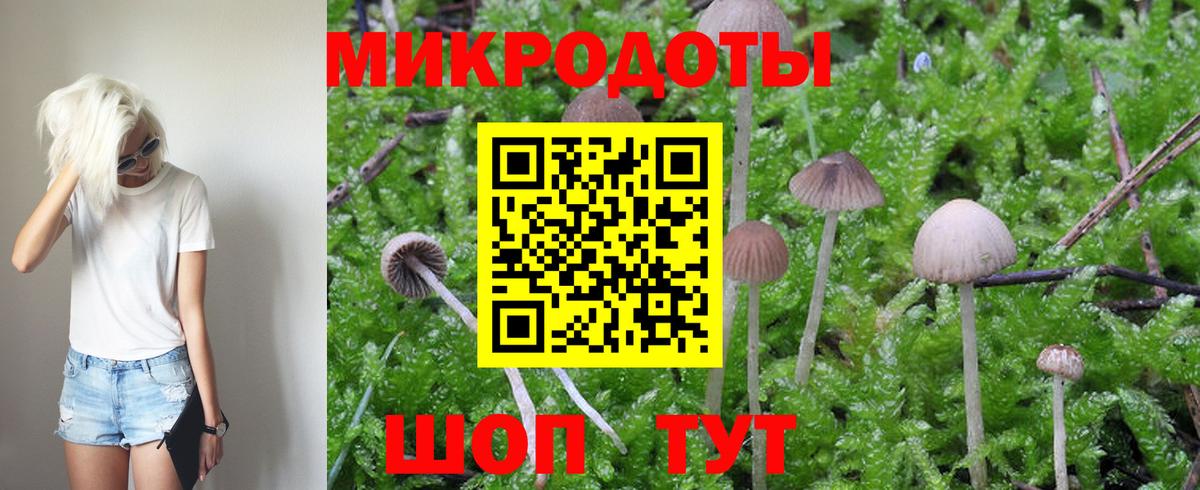 Торжок  Псилоцибиновые грибы Magic Shrooms  Вход с VPN 
